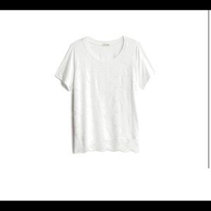 Marlene Lace Front Knit Top